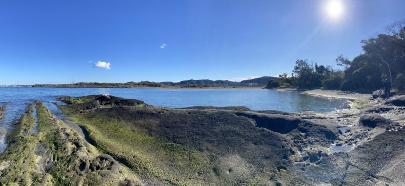 沖ノ島－ゴツゴツした岩場