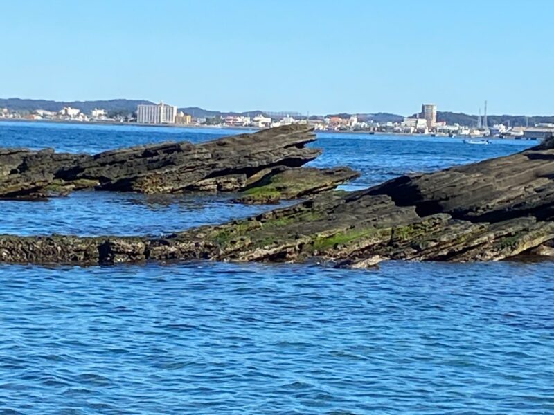 沖ノ島-トカゲ-カエル岩