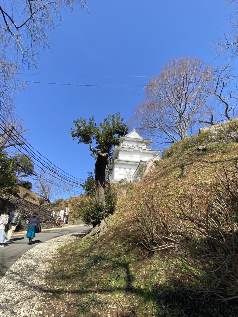 子ども遊園地からみる小田原城